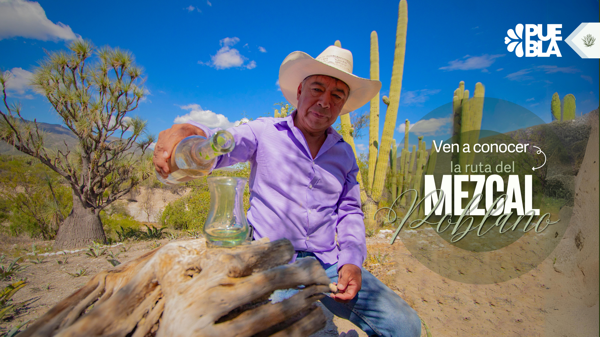 Ruta del Mezcal