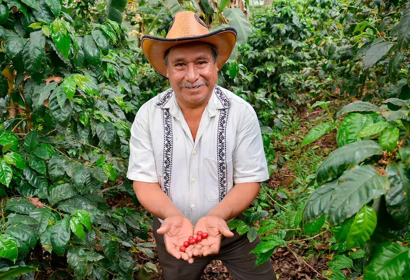 Experiencias Comunitarias