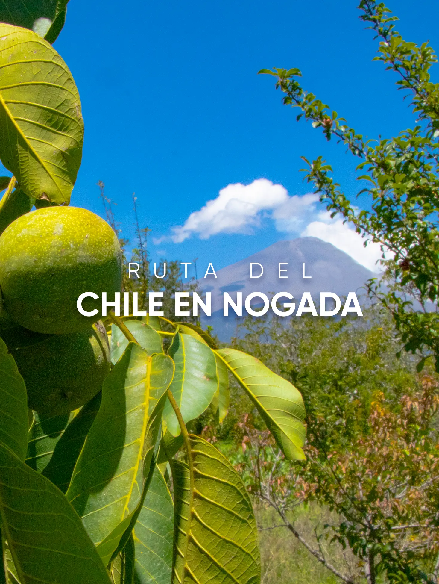 La Ruta del Chile en Nogada