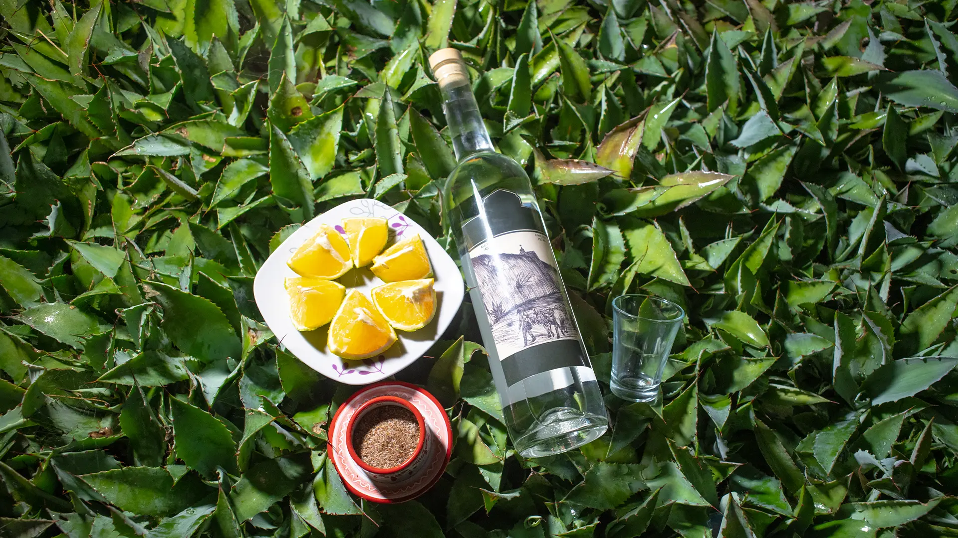 El Arte del Mezcal en Imágenes