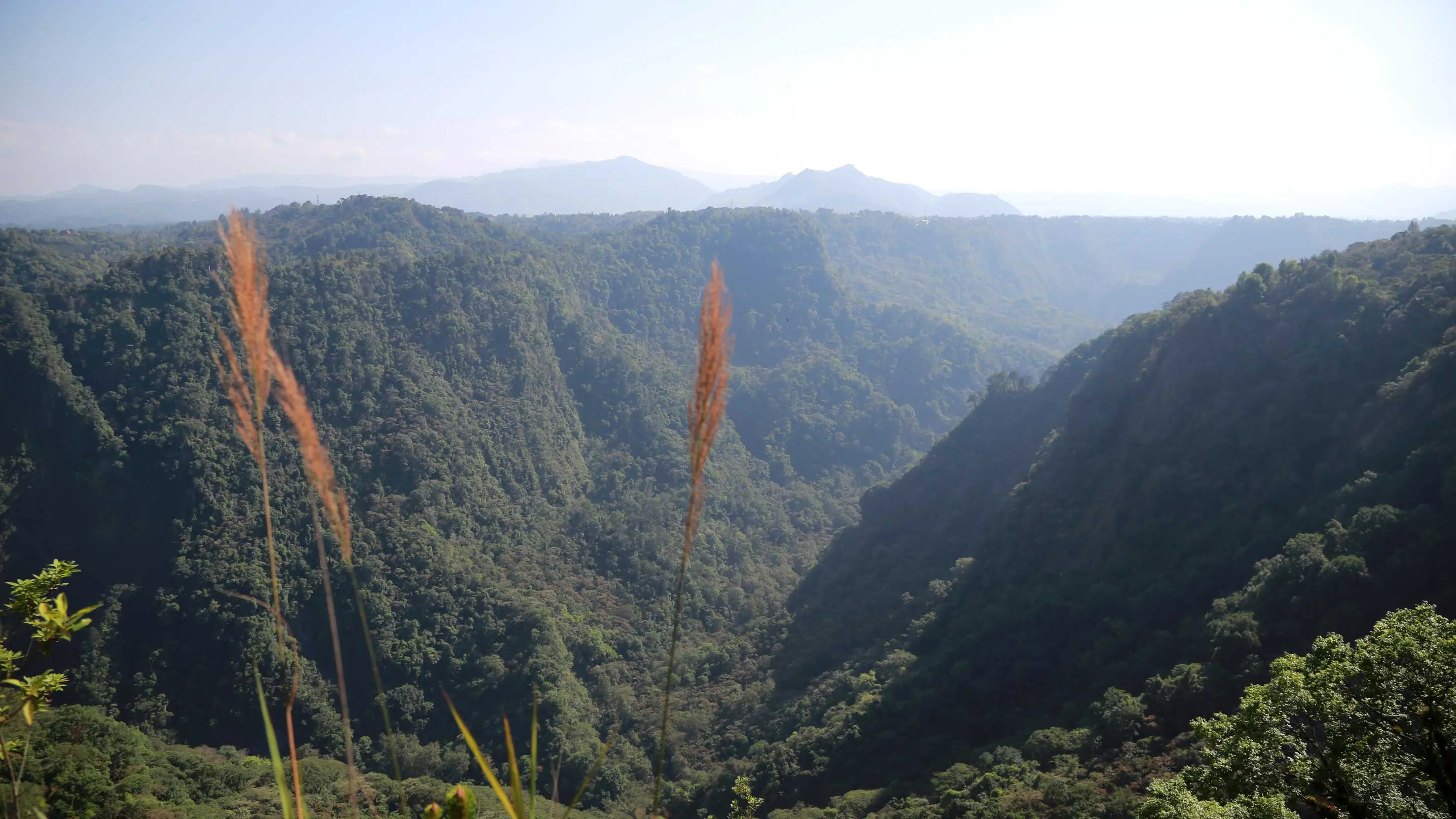 Sierra Norte