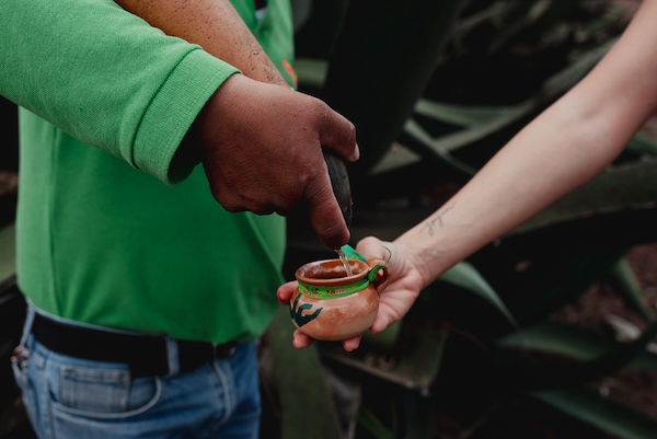 Pulque