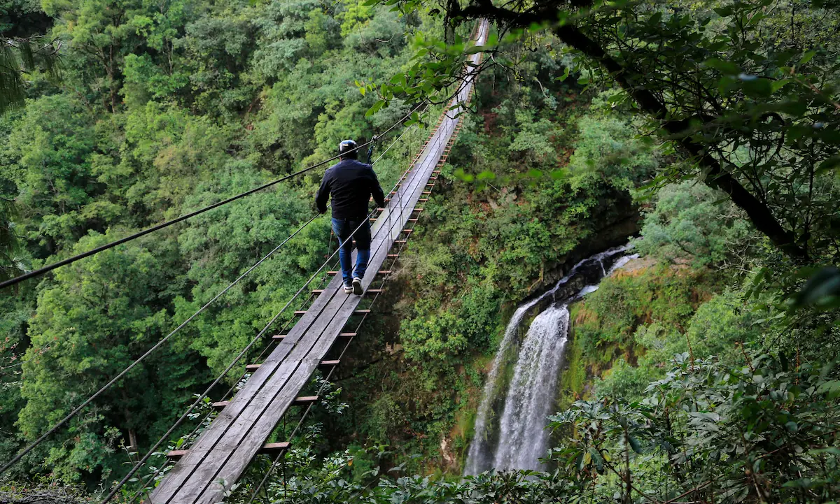 Tirolesas