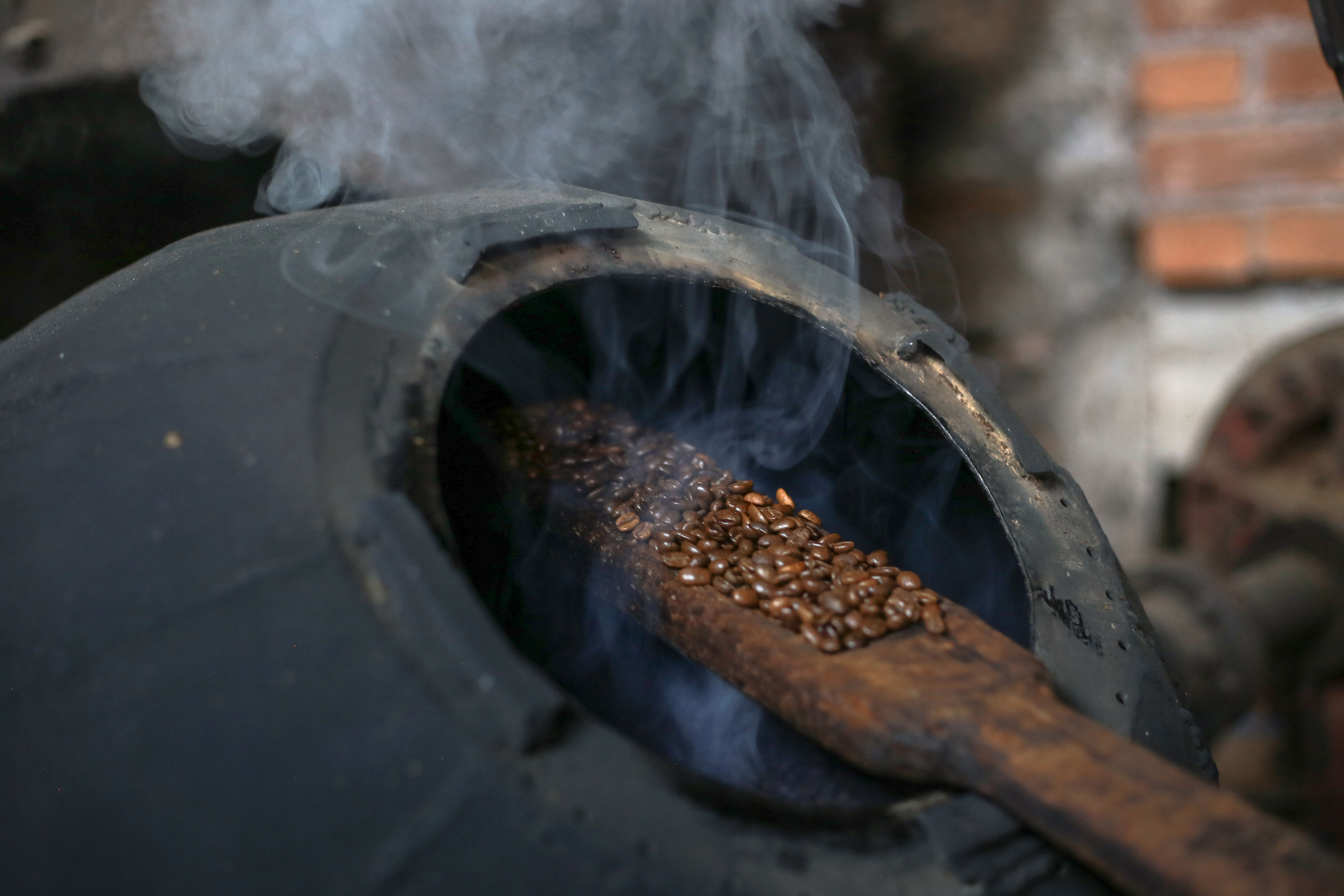 Bioruta del Café