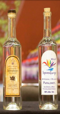 Mezcal Tepanahuazo